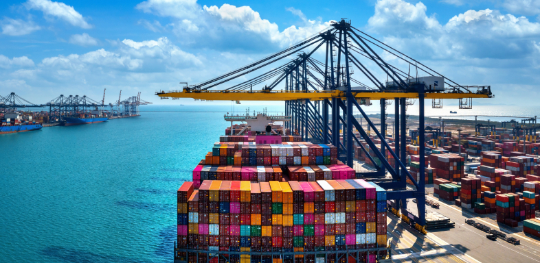 Las exportaciones dominicanas superaron los 12,925 millones de dólares en 2024