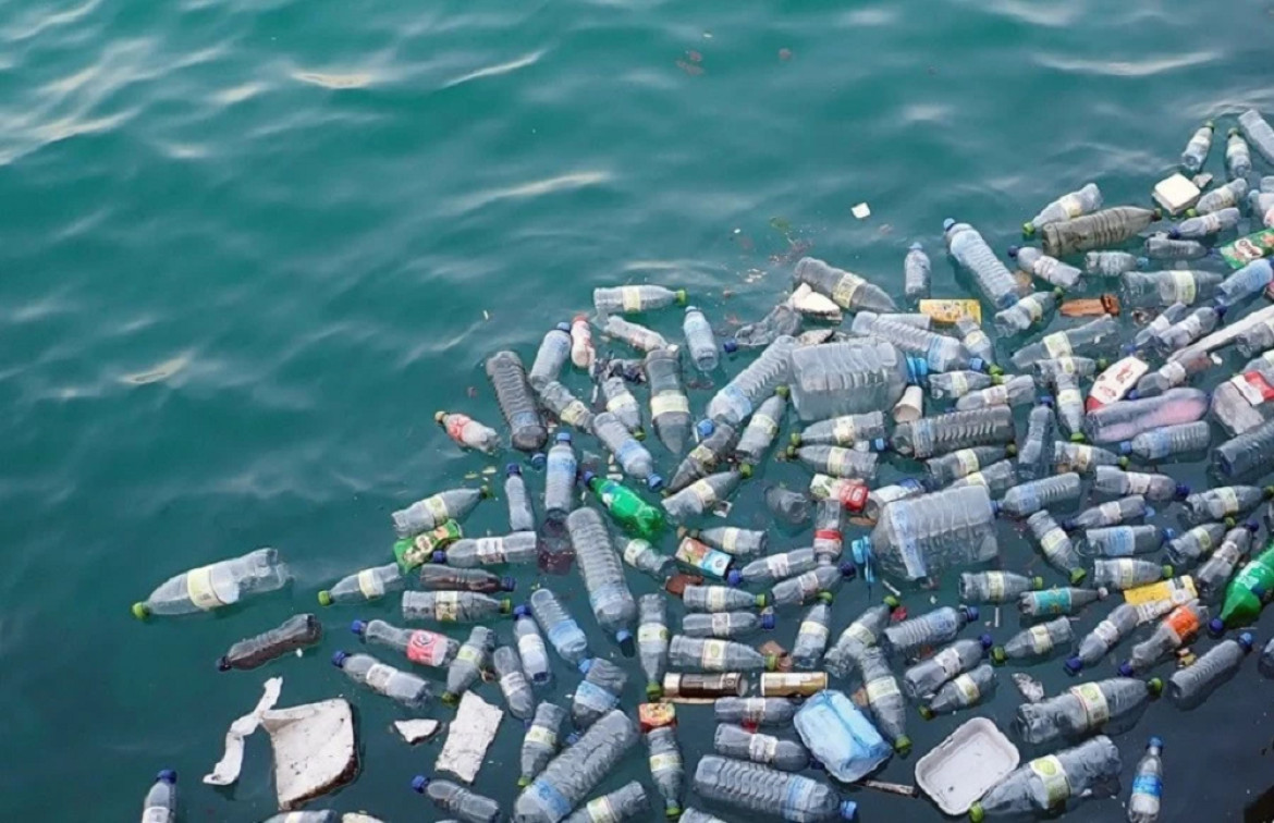 Nuevo estudio revela cómo las marismas atrapan residuos plásticos flotantes en estuarios