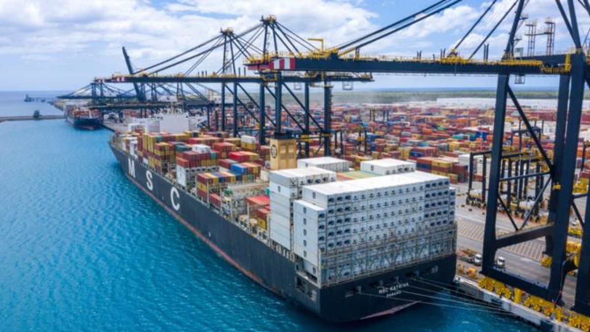 Caucedo y Haina: Los gigantes fiscales del sistema portuario dominicano