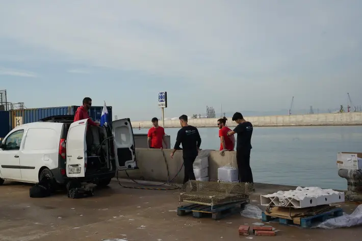 PortCastelló acelera la recuperación de la biodiversidad marina