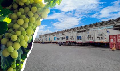 HIT Puerto Río Haina envía el primer contenedor de uvas de mesa a EE.UU.