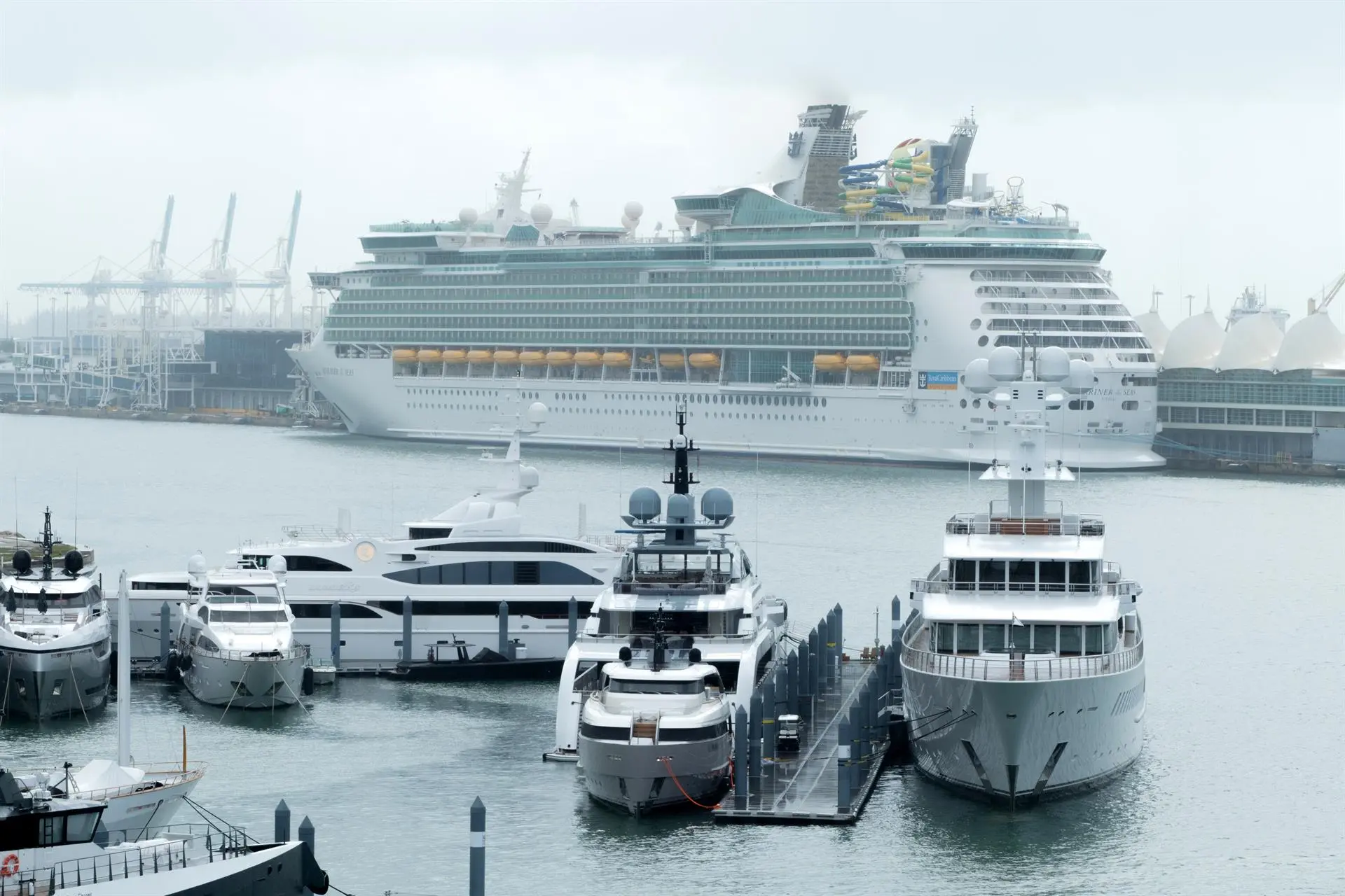 La industria de cruceros se perfila como eje clave en REPICA 2025