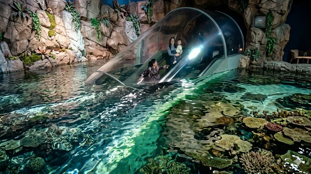 China redefine el turismo submarino con la primera escalera mecánica que te «sumerge» en el océano