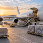 La carga aérea internacional en Filipinas crece 15,4 % durante el primer semestre
