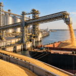 Exportaciones de granos de Estados Unidos a China repuntan 176%