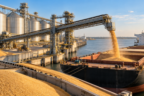 Exportaciones de granos de Estados Unidos a China repuntan 176%